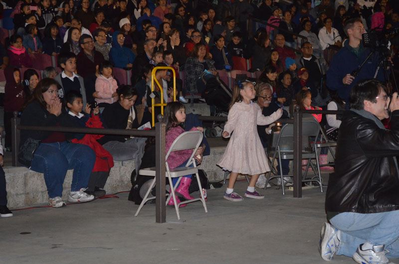 Holiday Snow Village 2015 15